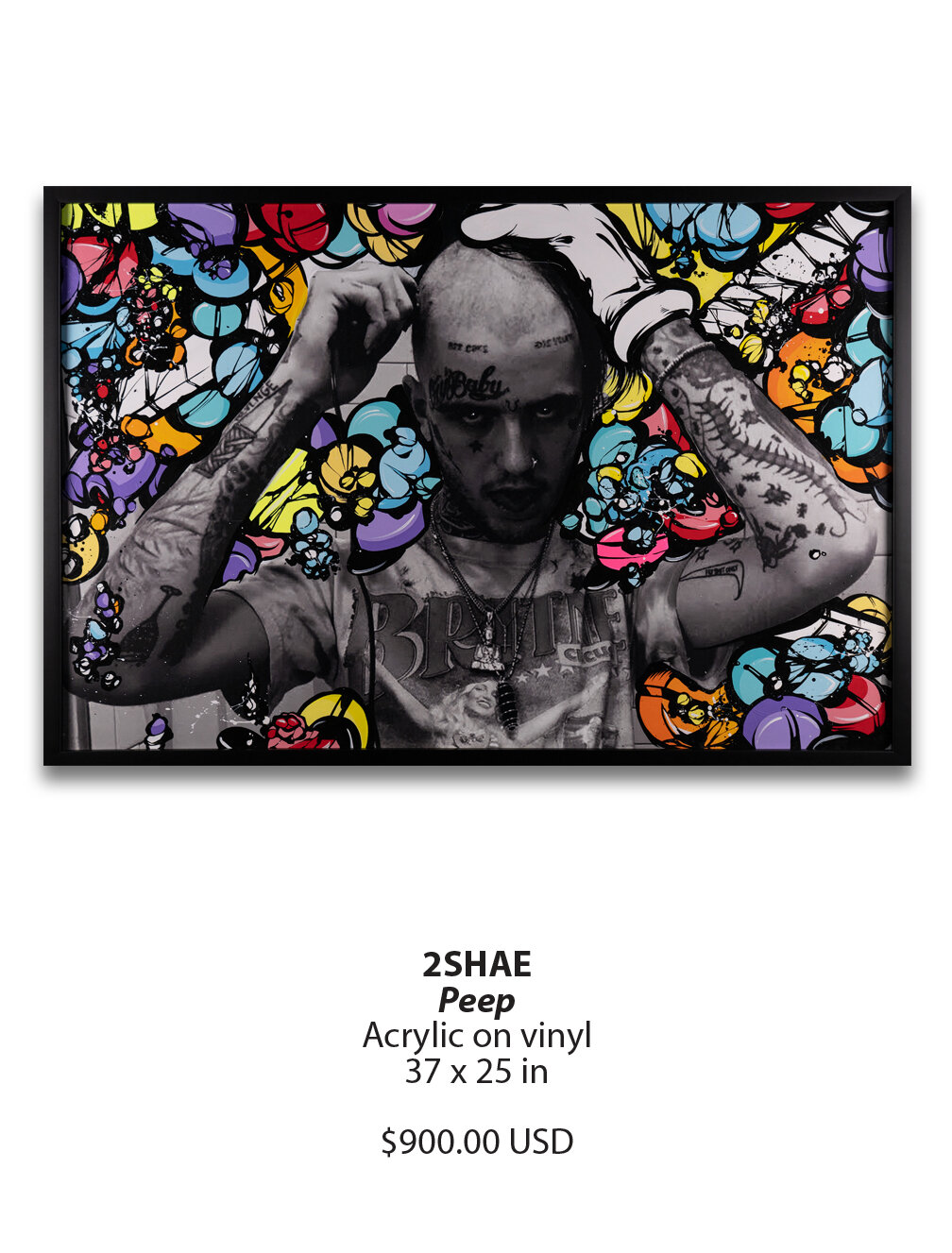 Artsy Artwork Images - 2SHAE - website with labels - Pete.jpg