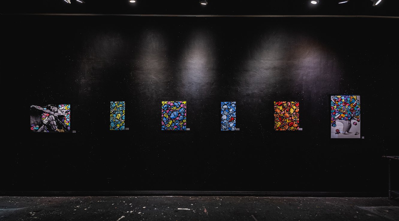 2SHAE - WEBSITE Install Shots1.jpg